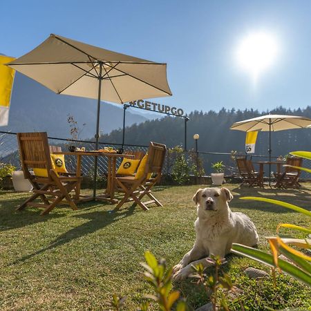 The Hosteller Manali, Old Manali מראה חיצוני תמונה