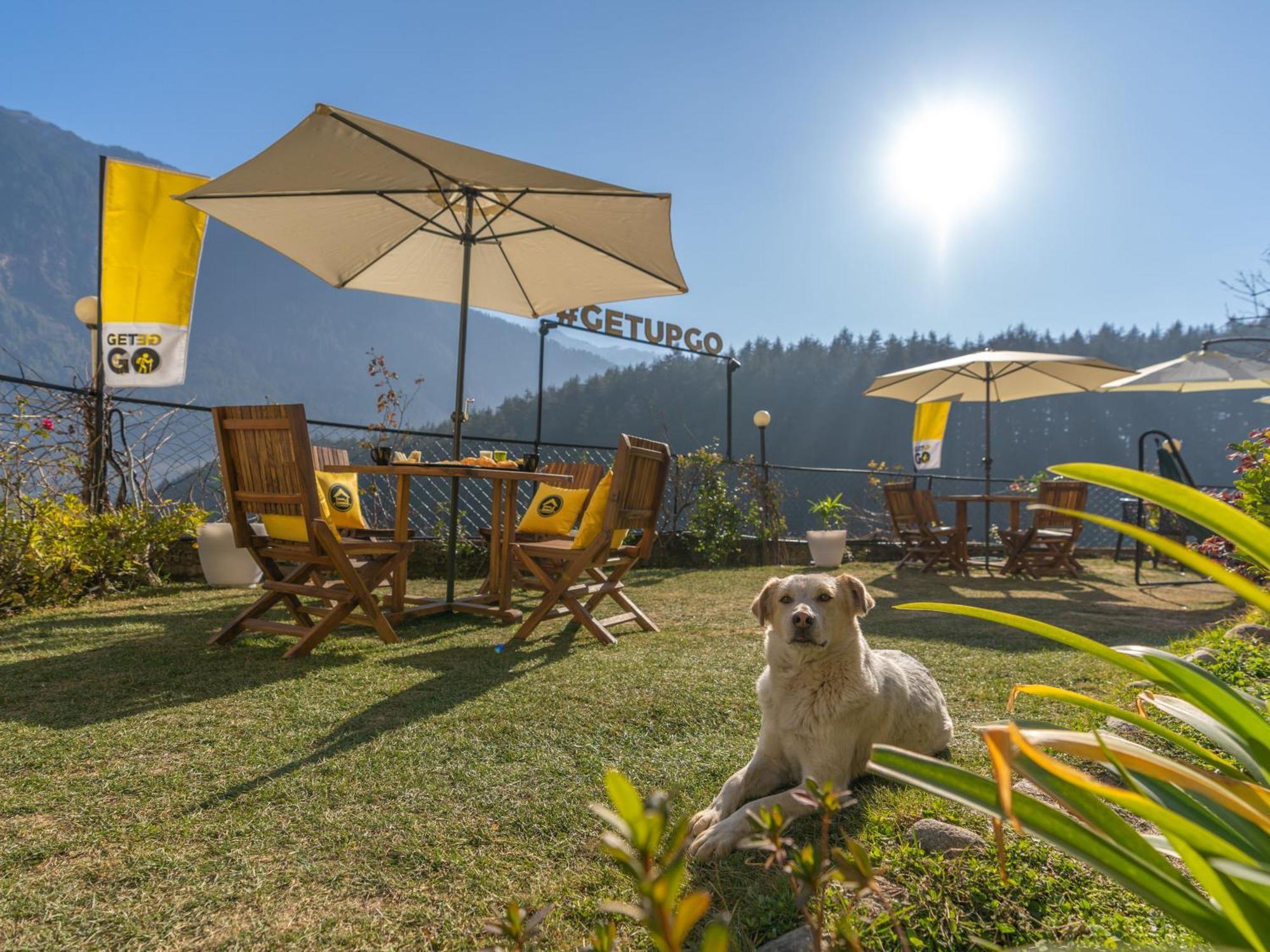 The Hosteller Manali, Old Manali מראה חיצוני תמונה